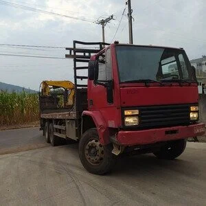 utilizamos este caminhão para transporte de carga como madeira.